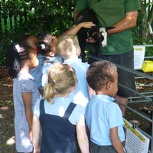 Fishers Mobile Farm visit to St Marys Primary School, Moston